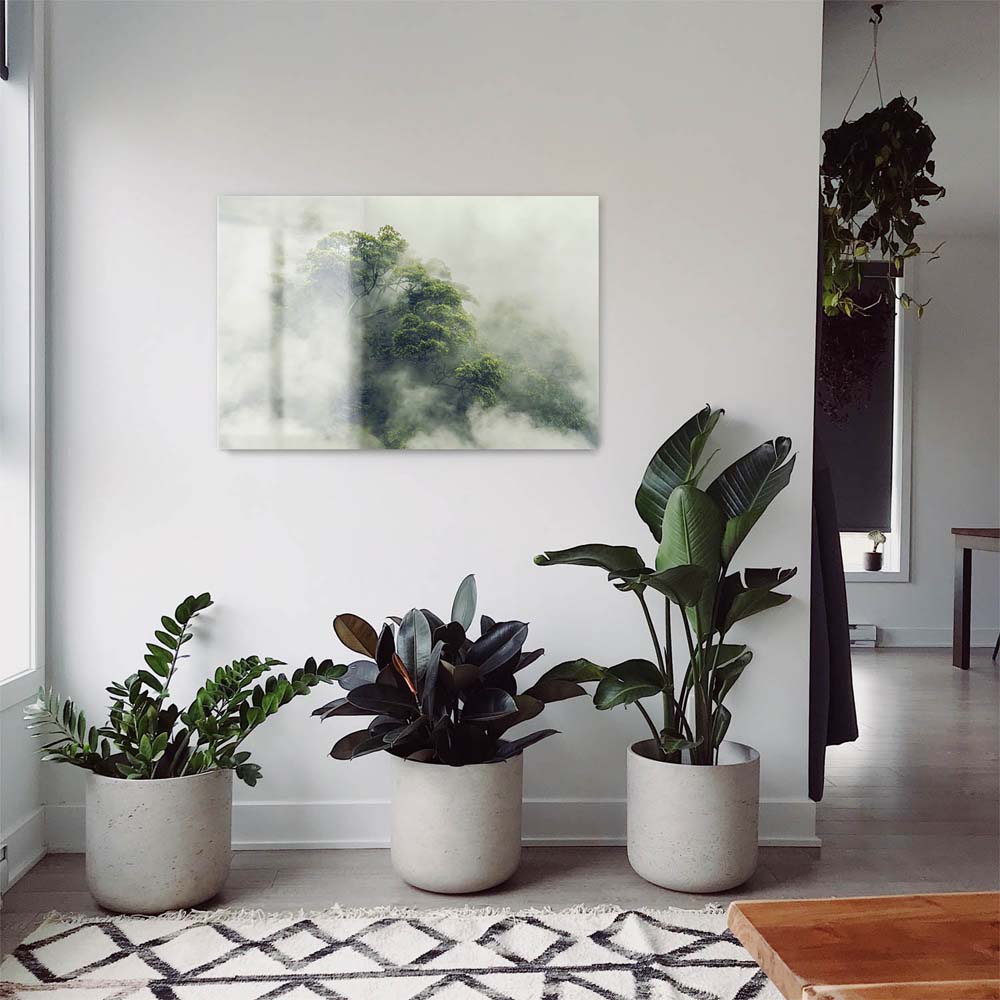 Panorama Acrylglasbild 180x90cm Regenwald Baumkrone