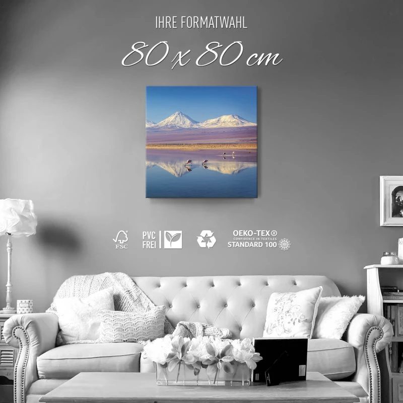 Berge & Gebirge Anden Atacama als Leinwand Bild 80x80cm