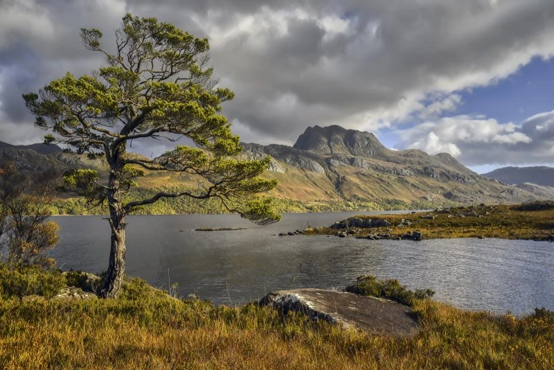 Berge & Gebirge Slioch Schottland Loch Maree als Acrylglasverbund Bild 120x80cm