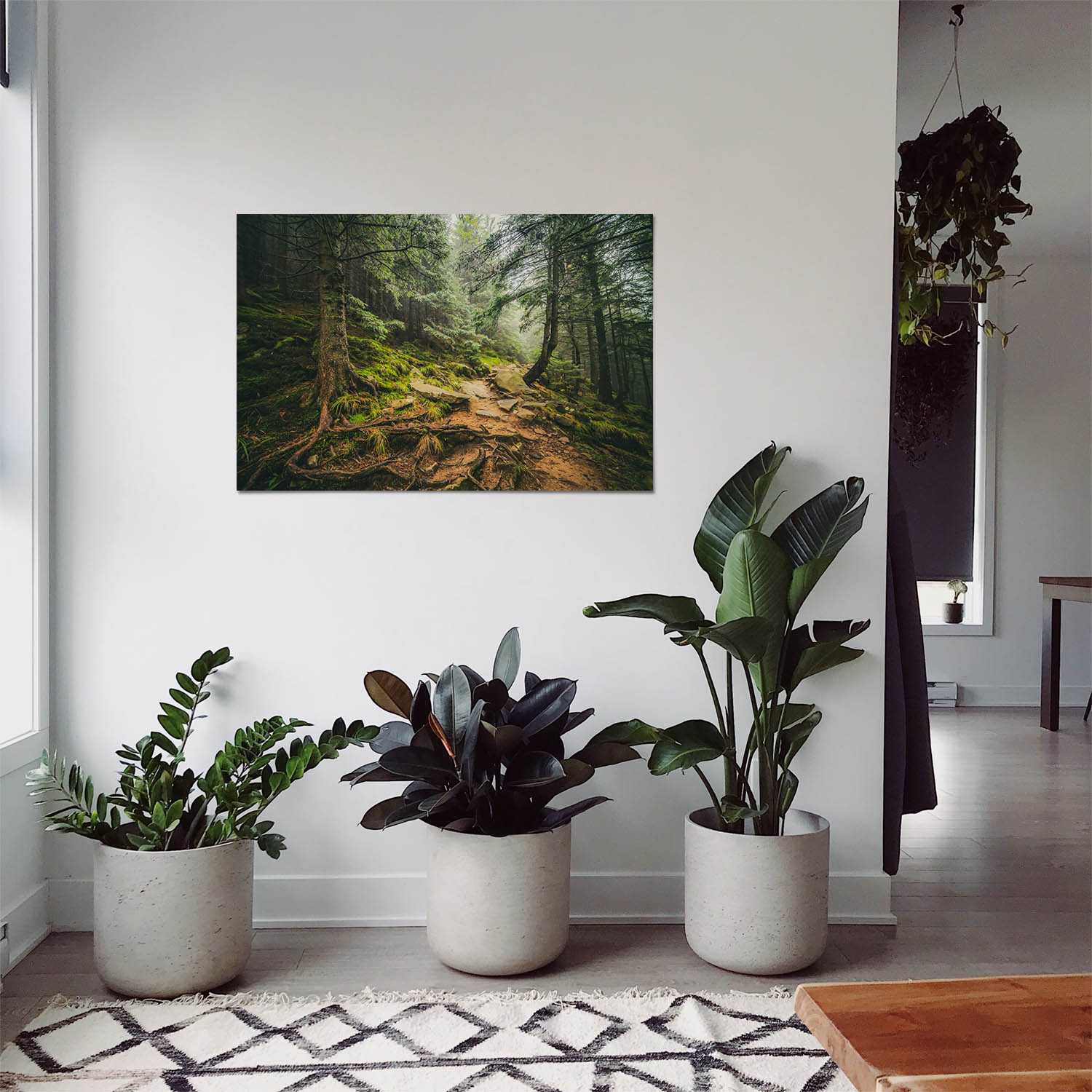 Poster 50x50cm Steinig Wald & Bäume