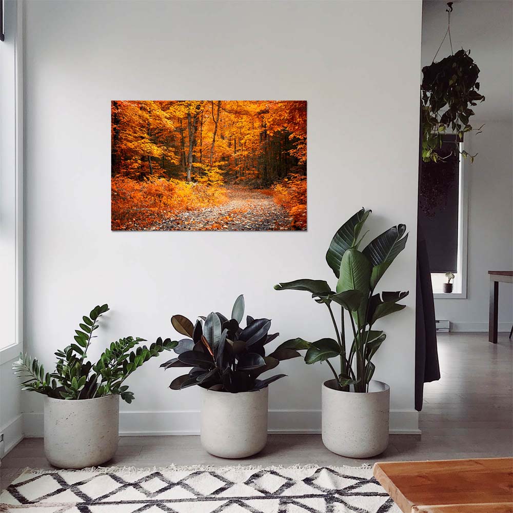 Poster 50x50cm Herbst Wanderung II Wald & Bäume