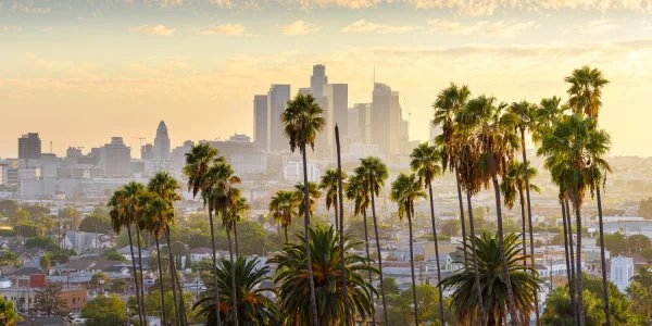 Skyline Los Angeles Palmen als Alu-Dibond Bild 120x60cm