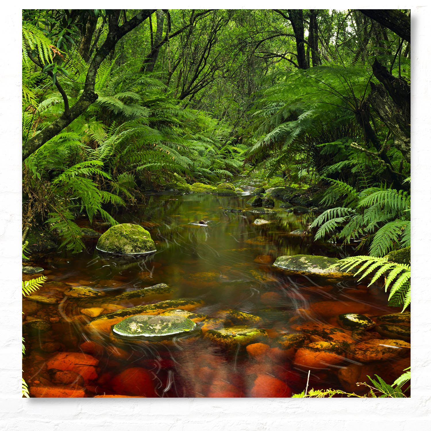 WandPoster Wald & Bäume Wasserlauf, 50x50cm
