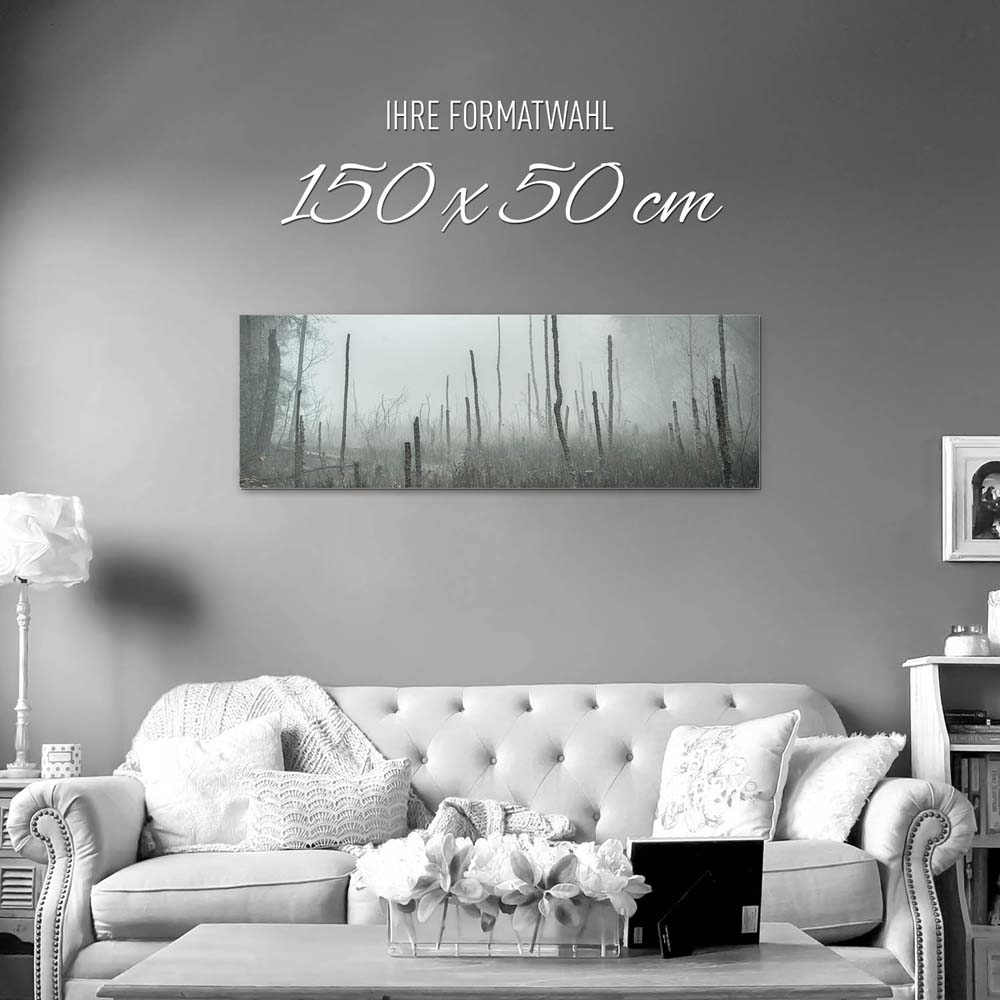 Alu-Dibond Bild 150x50cm groß Wald Bäume Sumpfgebiet