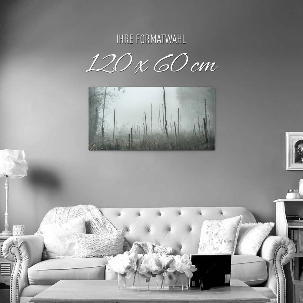 Wald Bäume Sumpfgebiet als Alu-Dibond Bild 120x60cm