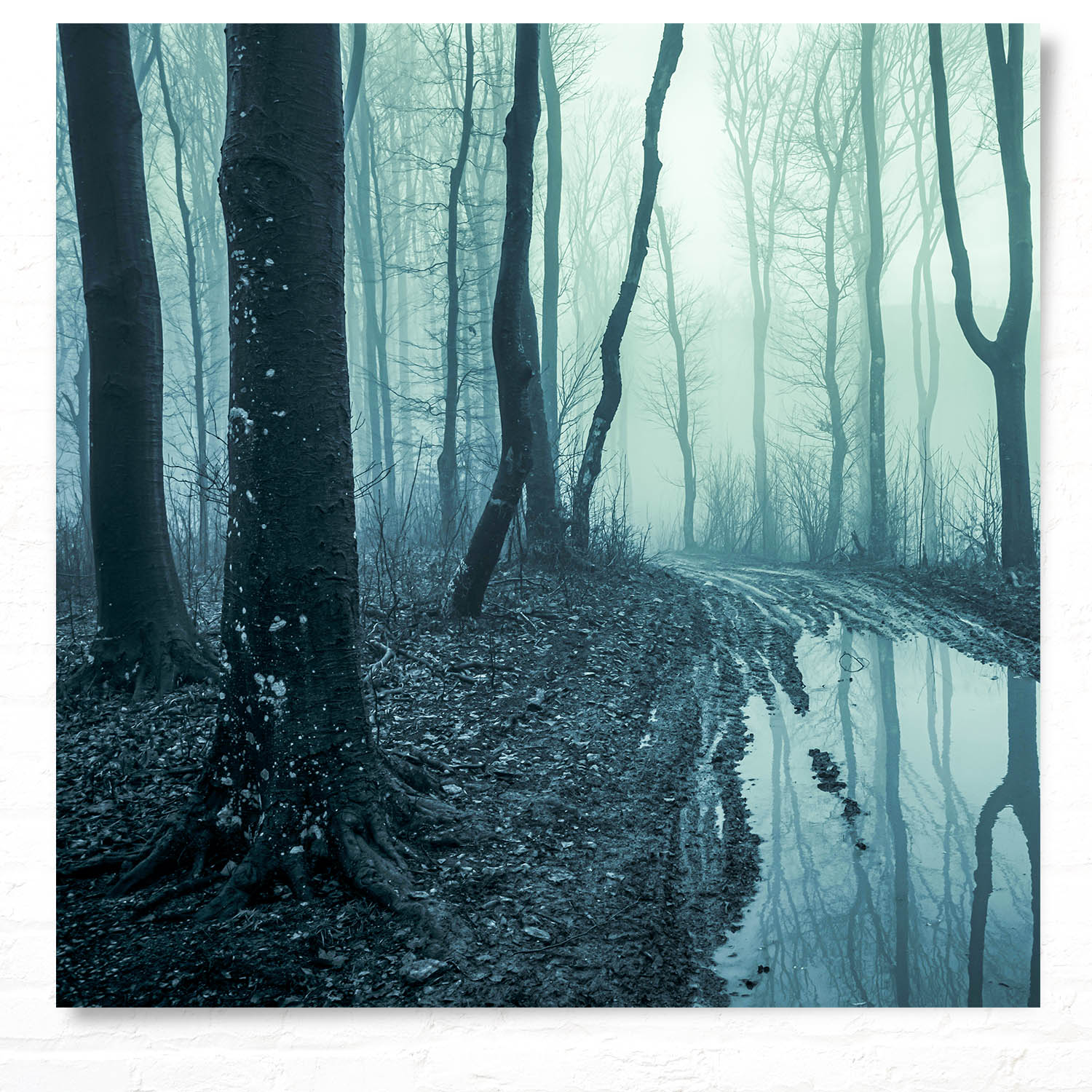 Poster 50x50cm Morast Wald & Bäume