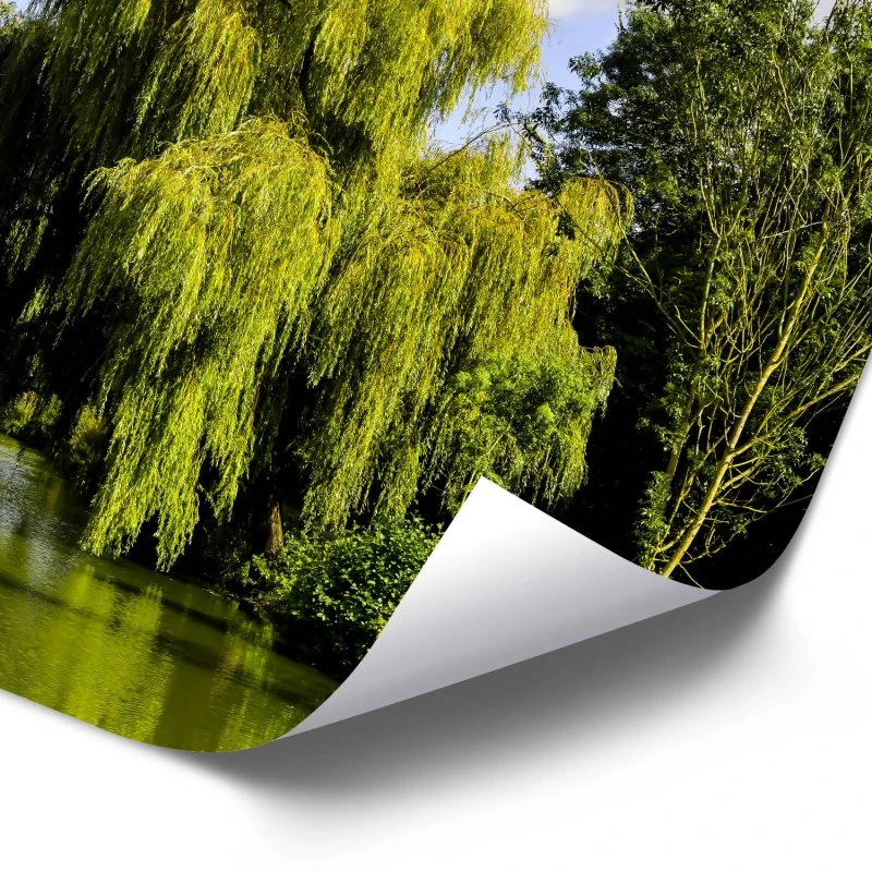 Poster 40x60cm im Hochformat, Die Weide Flüsse & Seen