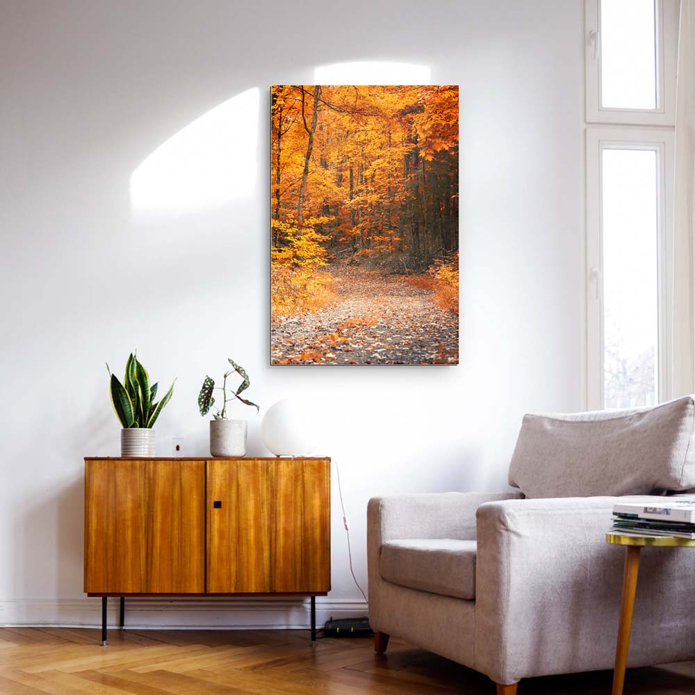 Wald & Bäume Herbst Wanderung II als Alu-Dibond Bild 120x60cm