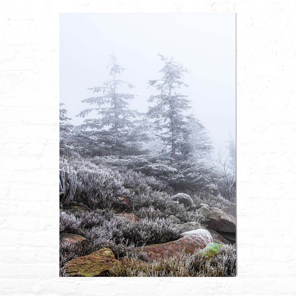 Wald & Bäume Schwarzwald Frost Poster XXL 100x150cm im Hochformat