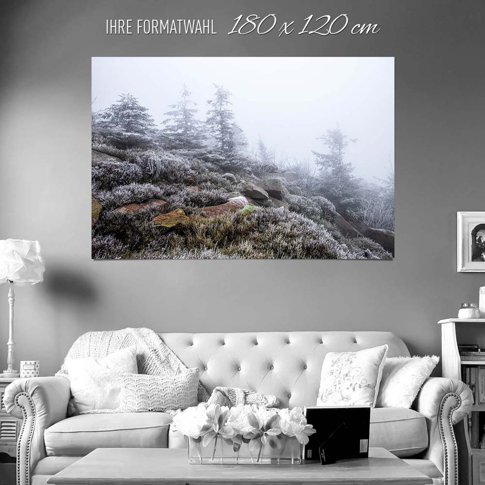 großes Poster Wald & Bäume Schwarzwald Frost, 180x120cm