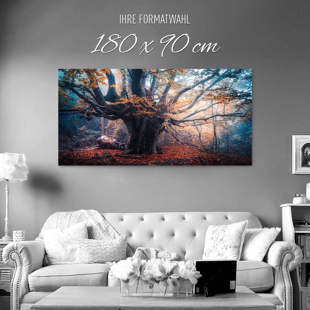 Panorama Alu-Dibond Bild 180x90cm Baum Herbstbuche