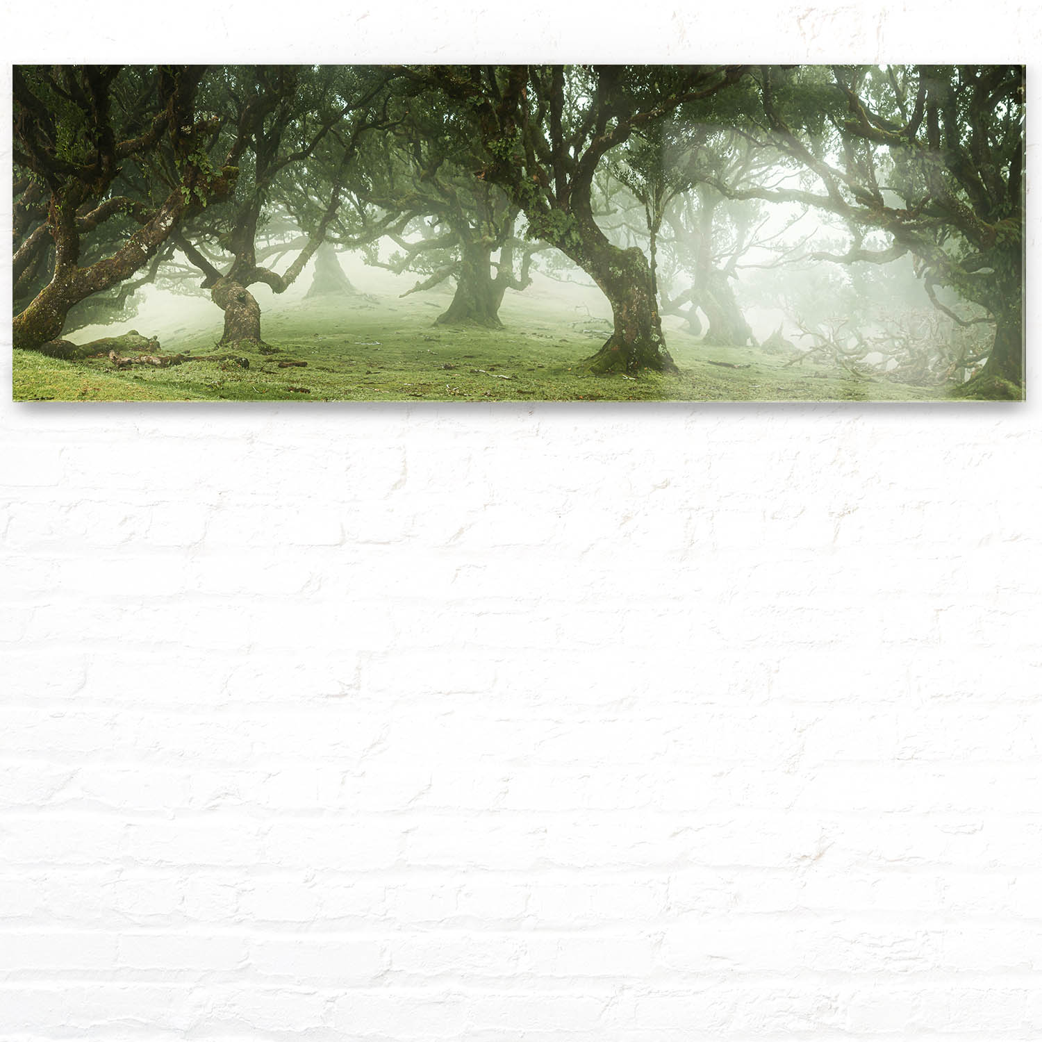 Acrylglasbild 150x50cm groß Wald & Bäume Nebel Gestalten