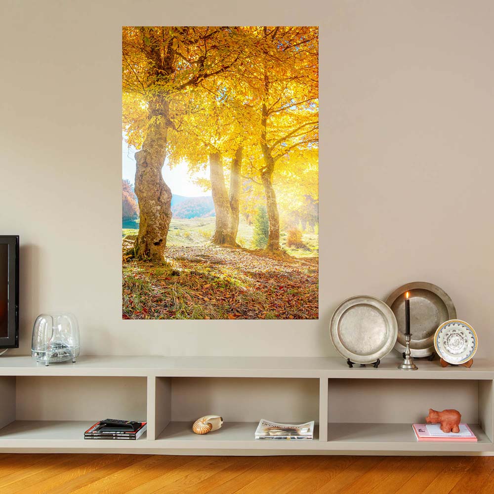 Wald & Bäume Herbst Sonne Poster XXL 100x150cm im Hochformat