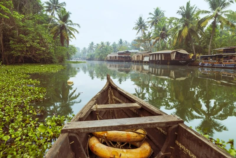 Flüsse & Seen Kumarakom Indien als Alu-Dibond Bild 60x40cm