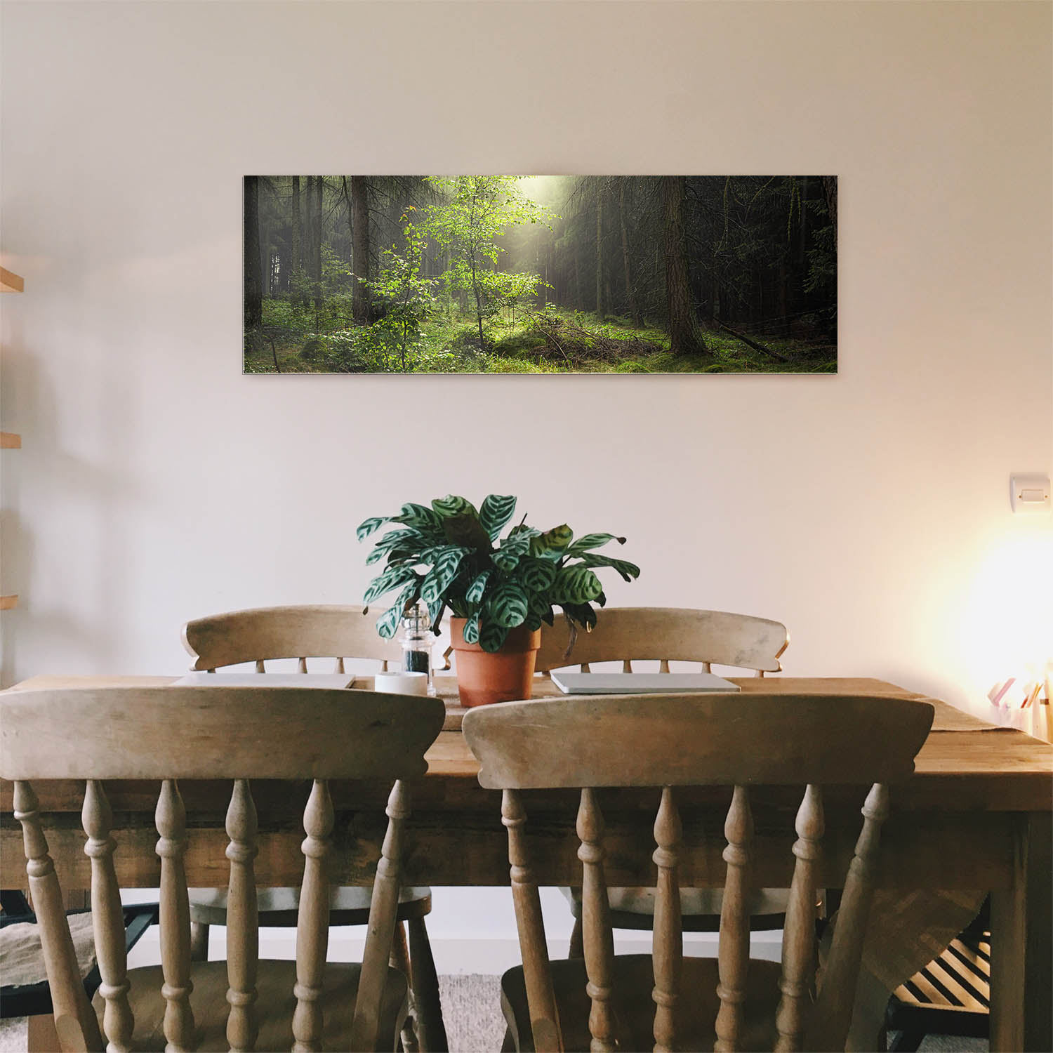 Wald & Bäume Lichtung als Acrylglasverbund Bild 110x50cm