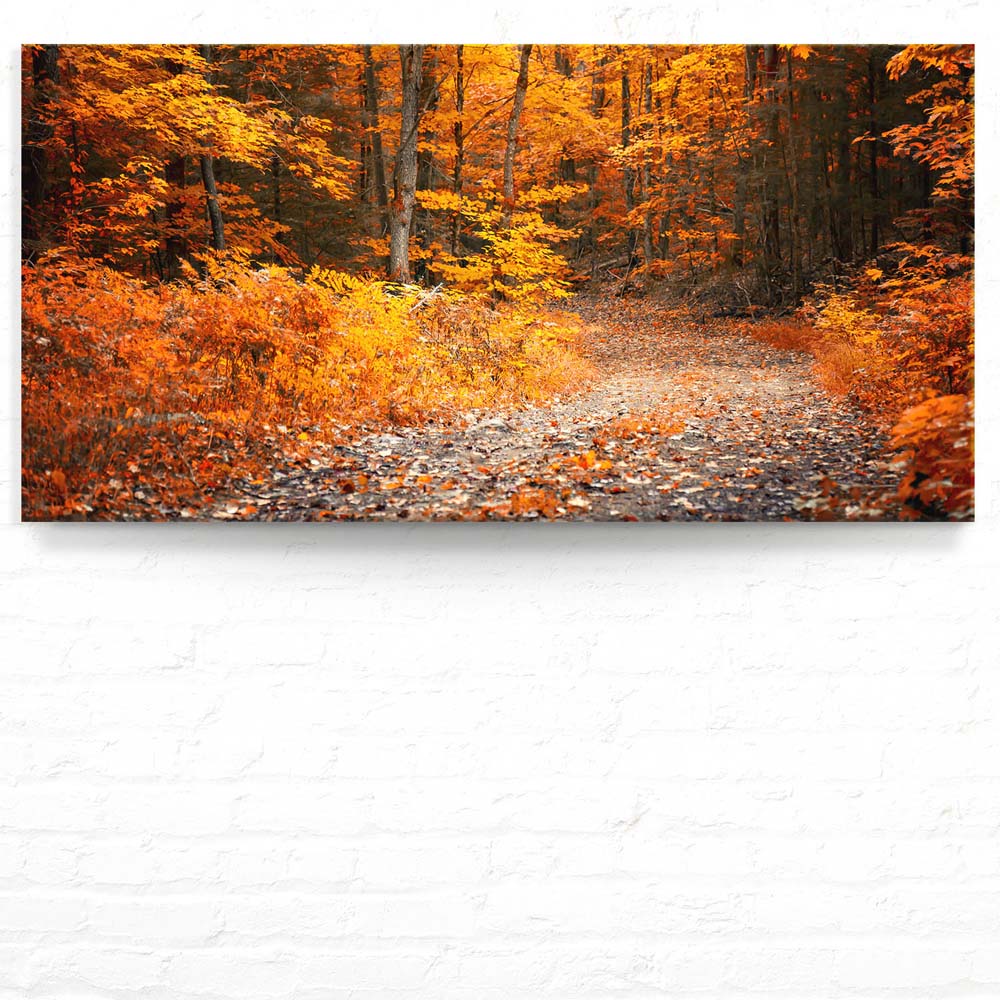 Wald & Bäume Herbst Wanderung II als Keilrahmenbild 180x90cm