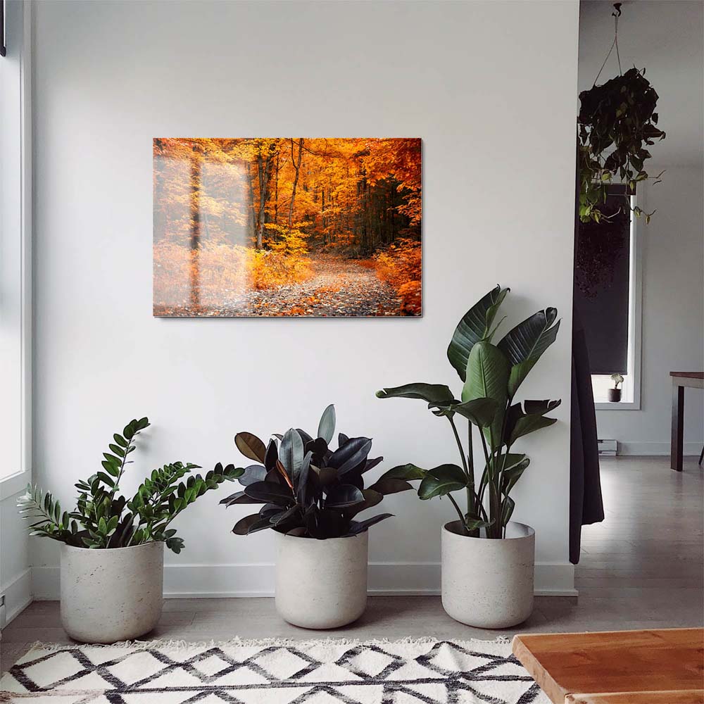 Wald & Bäume Herbst Wanderung II als Acrylglasverbund Bild 180x90cm