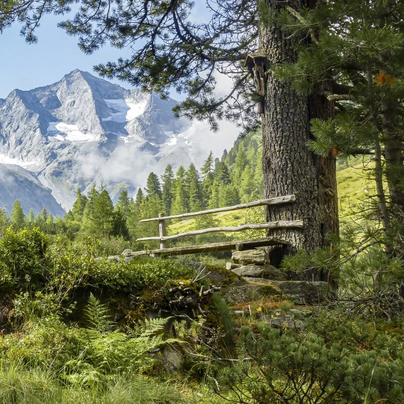 Berge & Gebirge Zillertal Tirol als Alu-Dibond Bild 50x50cm