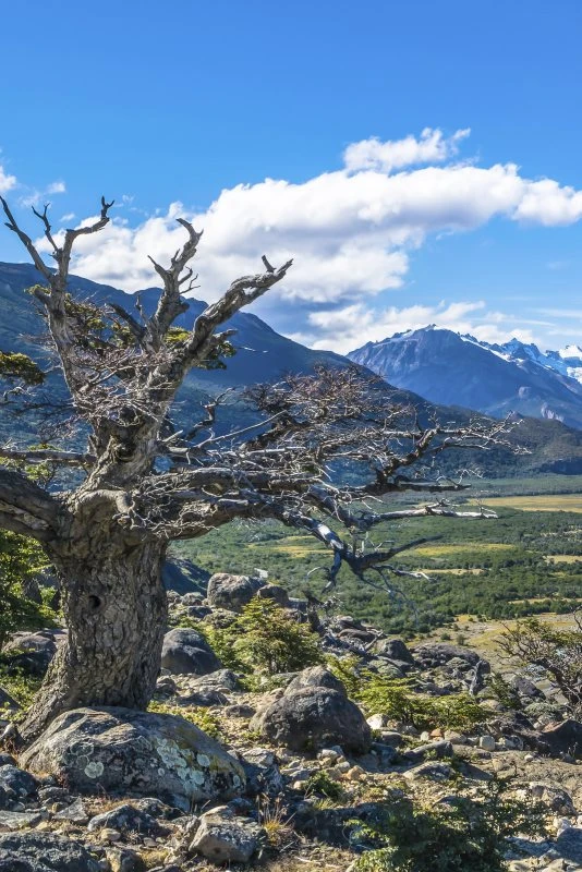 Poster 40x60cm im Hochformat, Patagonien Flüsse Berge & Gebirge