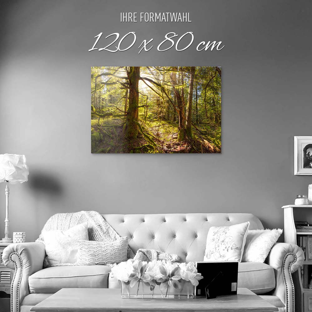 Wald Baum Sonnenhain als Acrylglasverbund Bild 120x80cm