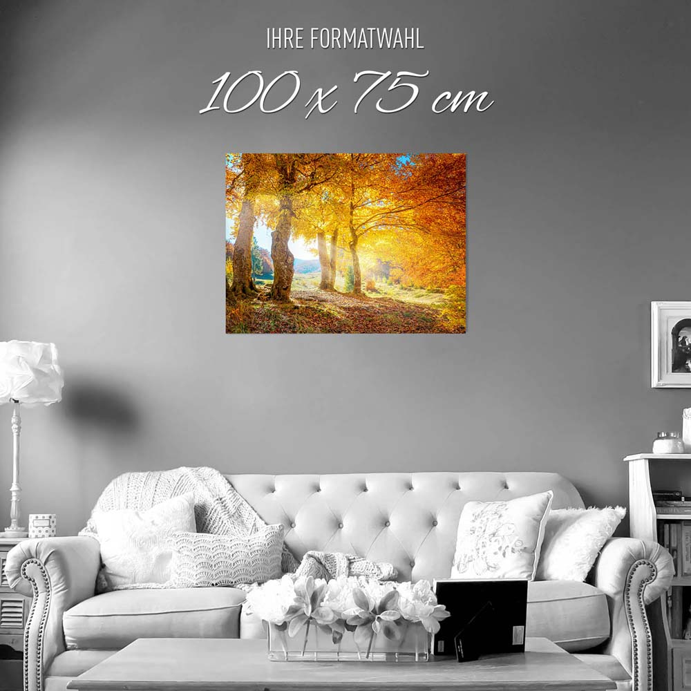 Poster Herbst Sonne Wald & Bäume, 100x75cm groß
