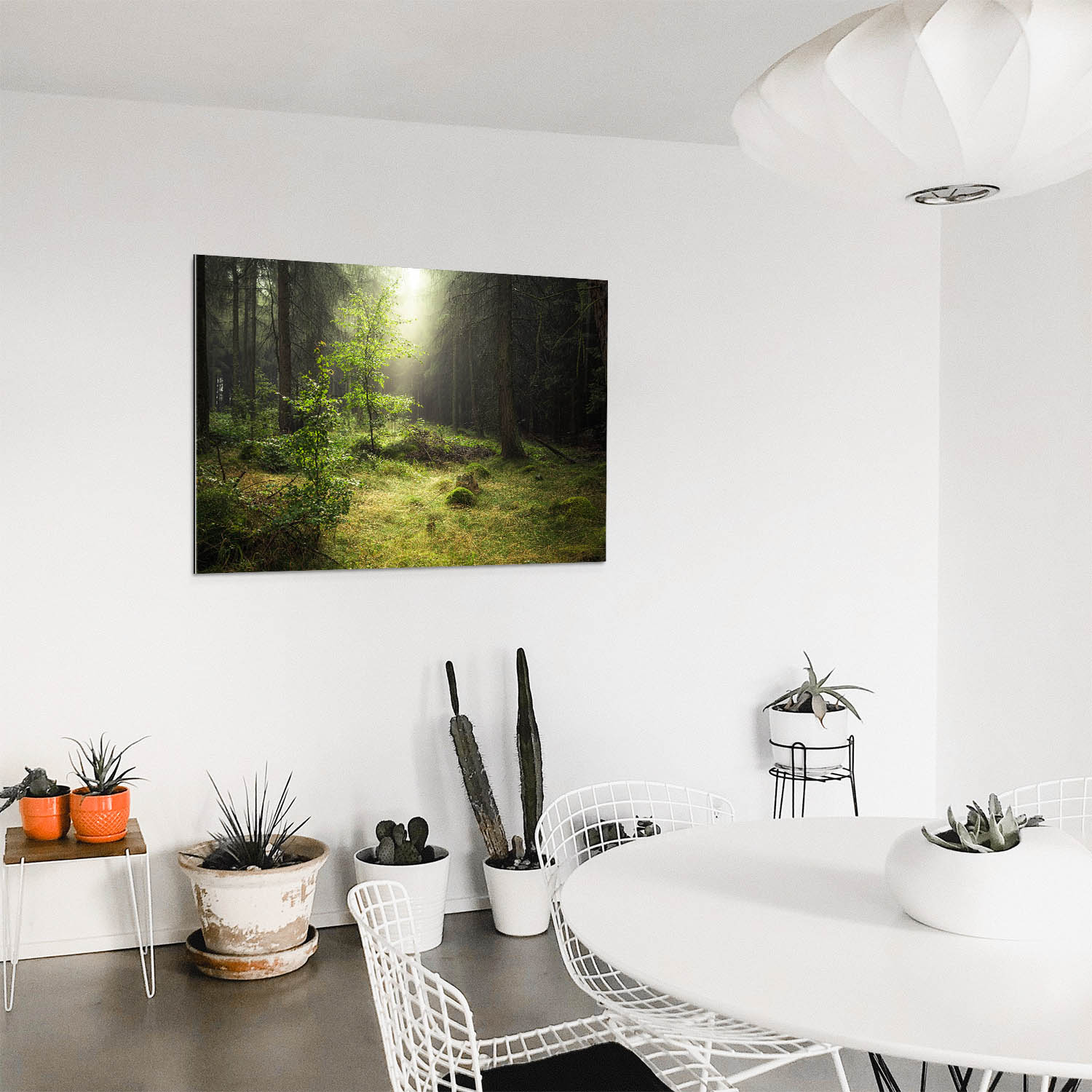Wald & Bäume Lichtung als Acrylglasverbund Bild 110x50cm