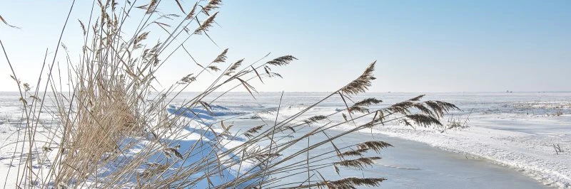 Strand & Meer Winterhafer Ostsee als Acrylglasverbund Bild 150x50cm