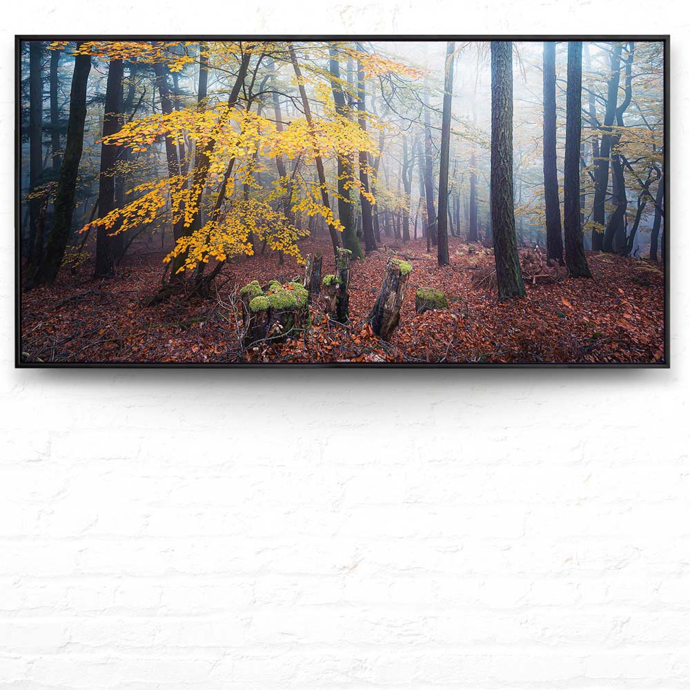 Wald & Nebel Herbst im Pfläzerwald  im schwarzen Bilderrahmen, 180x90cm