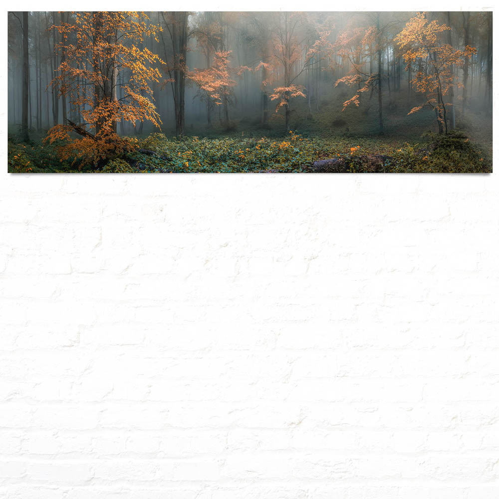 Panorama WandPoster 150x50cm Herbstidylle, Wald