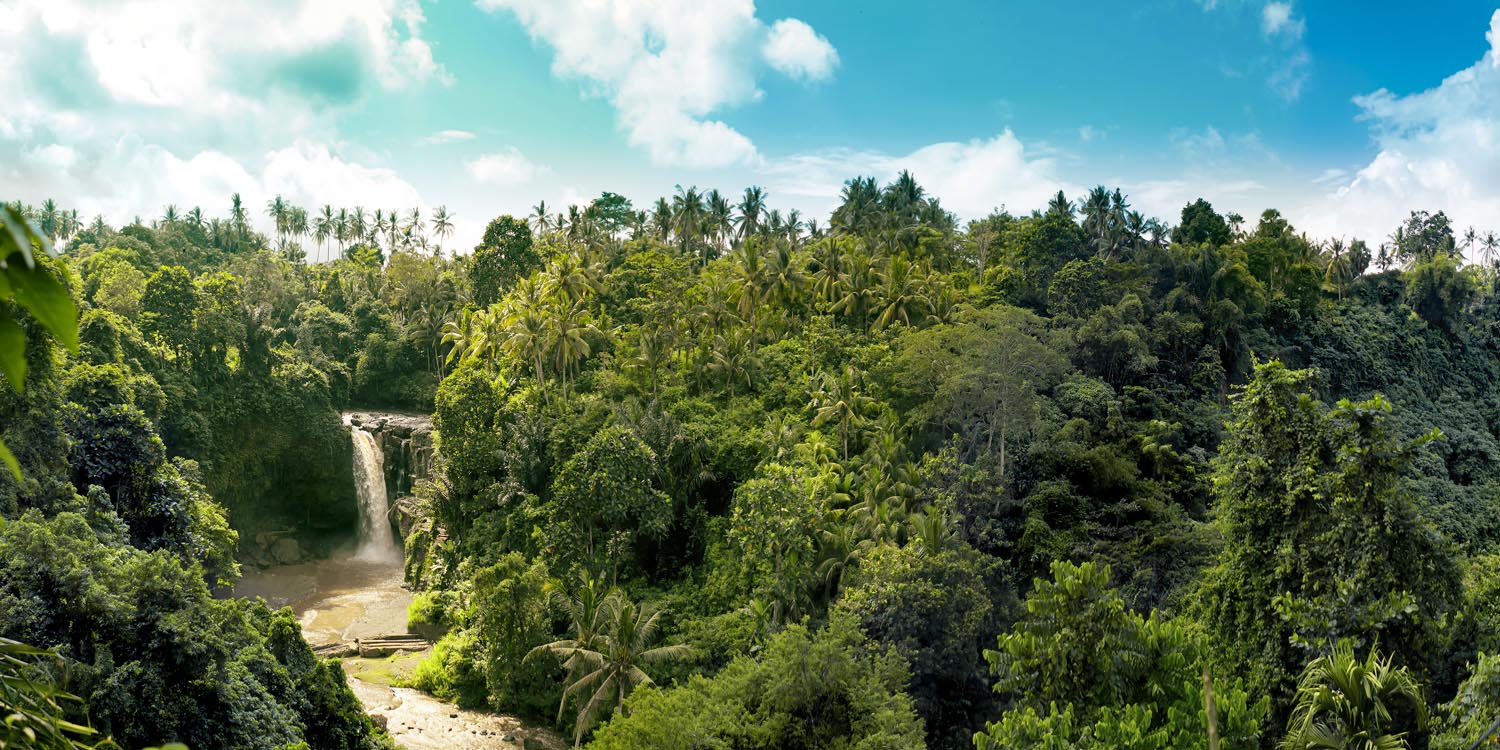 Dschungel Wasserfallpanorama im schwarzen Bilderrahmen, 120x60cm