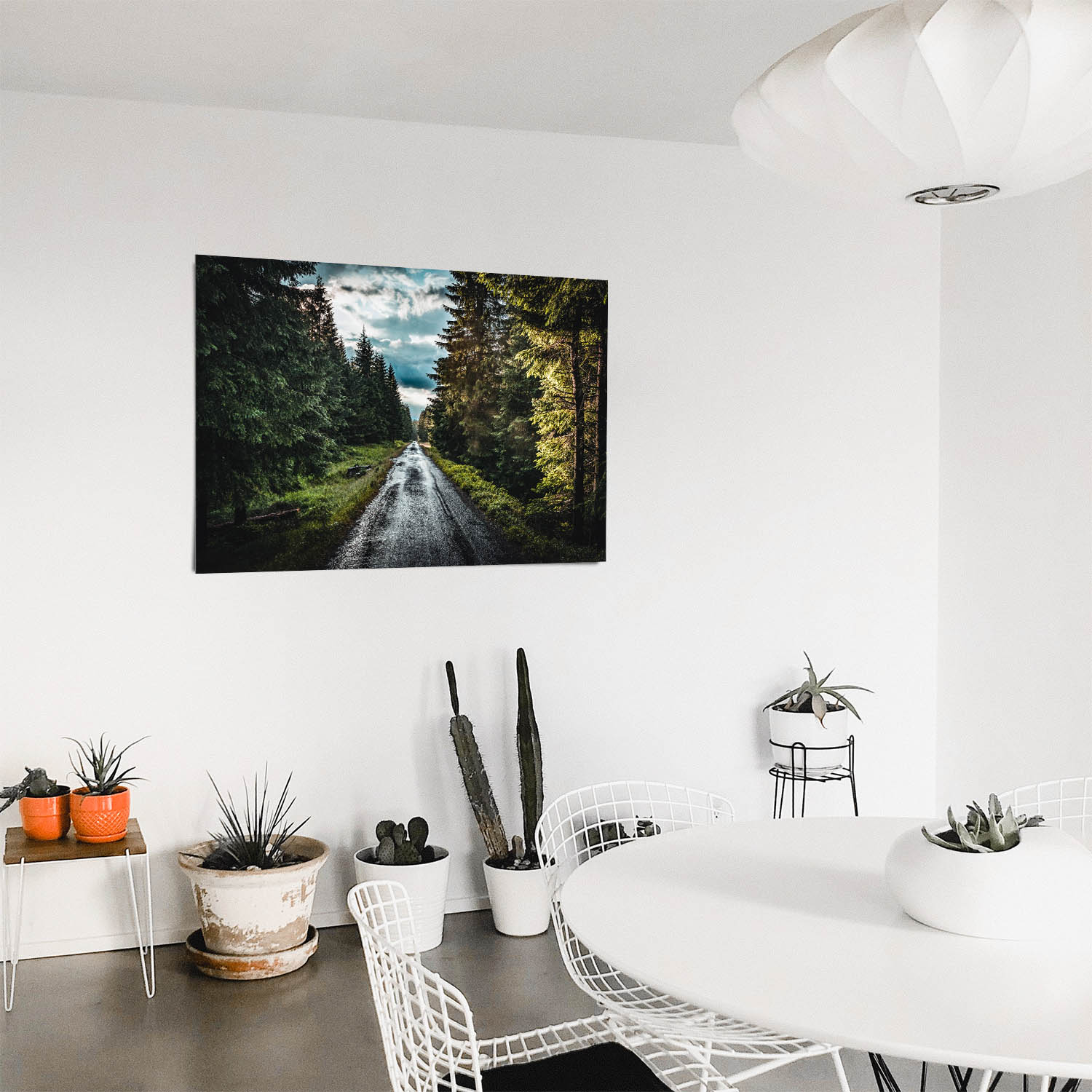 Großformat Poster Wald & Bäume Tannenpfad, 180x90cm