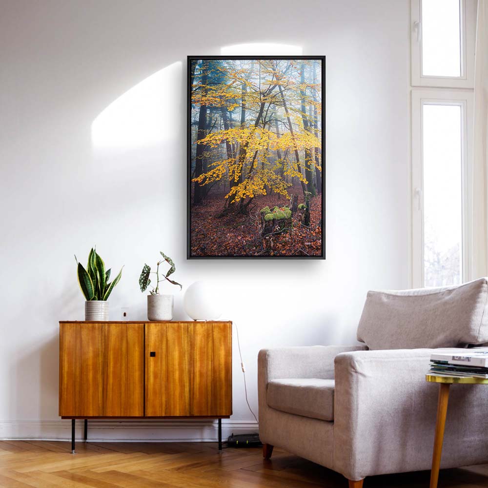 Wald & Nebel Herbst im Pfläzerwald  im schwarzen Bilderrahmen, 180x90cm