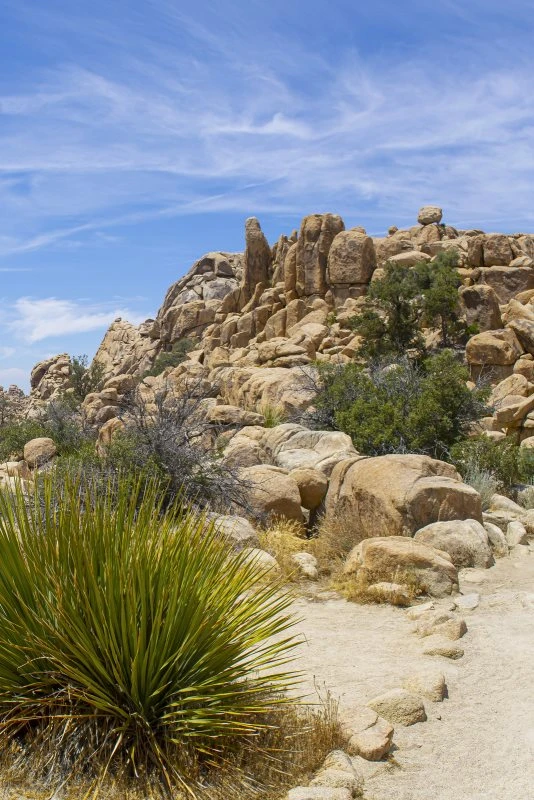 Poster 40x60cm im Hochformat, Joshua Tree National Park Berge & Gebirge