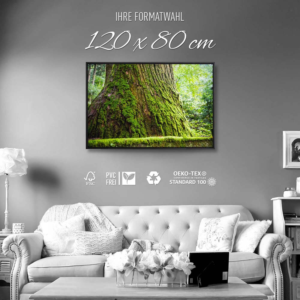 Wald & Baum Moos im schwarzen Bilderrahmen, 120x80cm