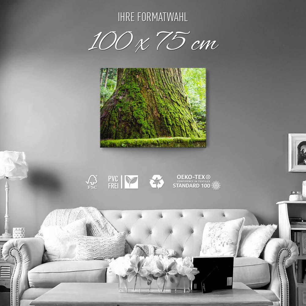 Leinwandbild Wald & Baum Moos 100x75cm