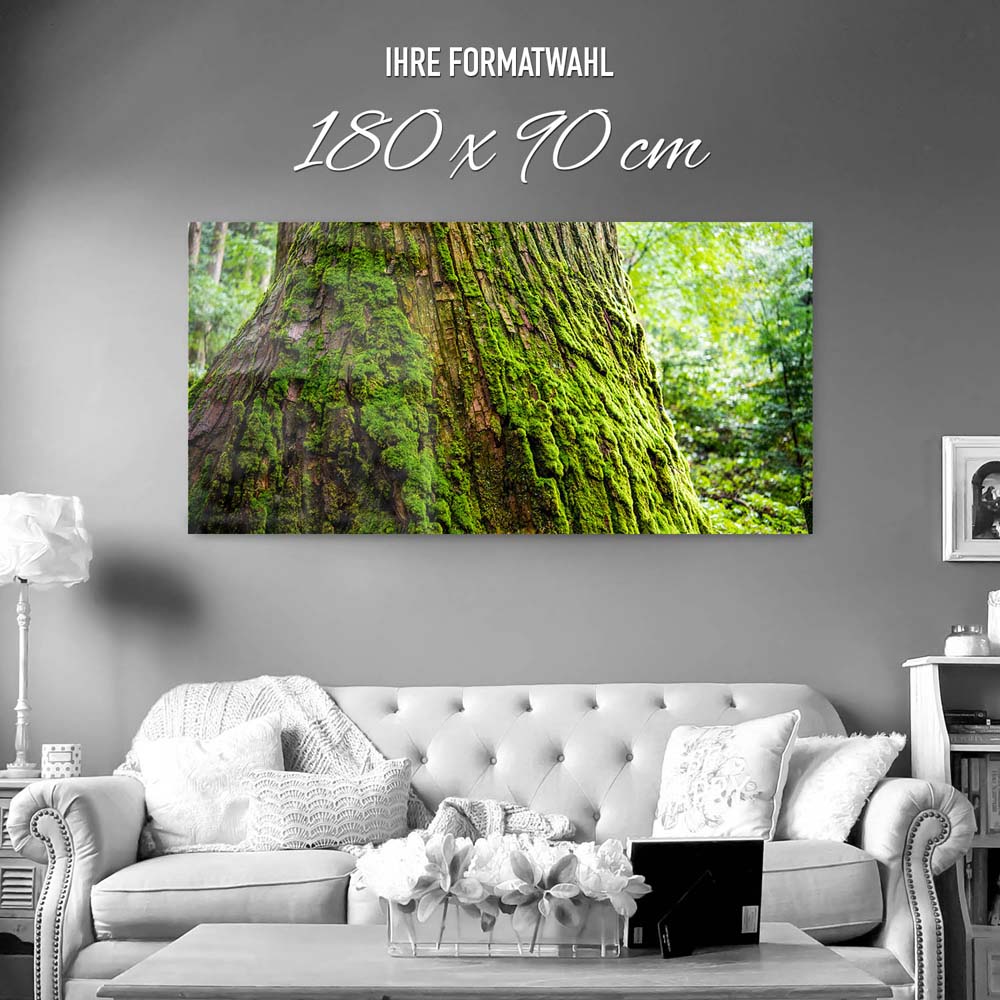 Panorama Acrylglasbild 180x90cm Wald & Baum Moos