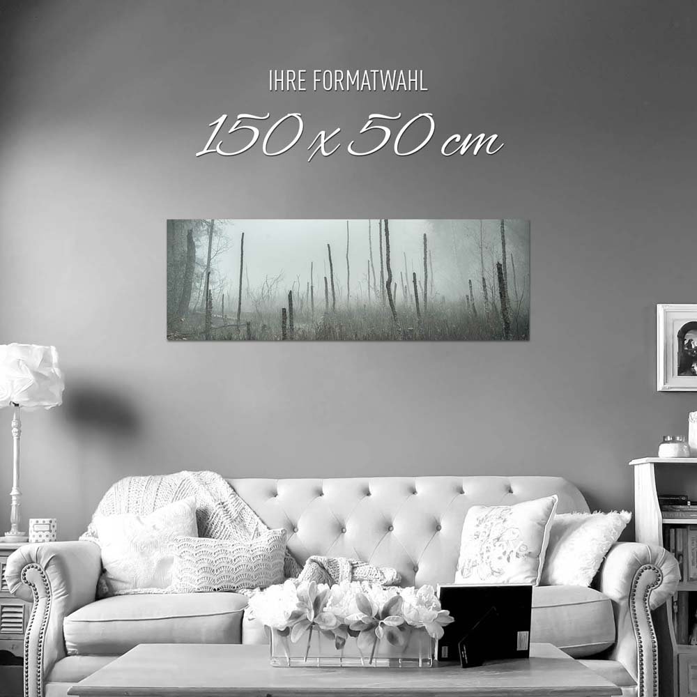Panorama Poster 150x50cm, Wald Bäume Sumpfgebiet