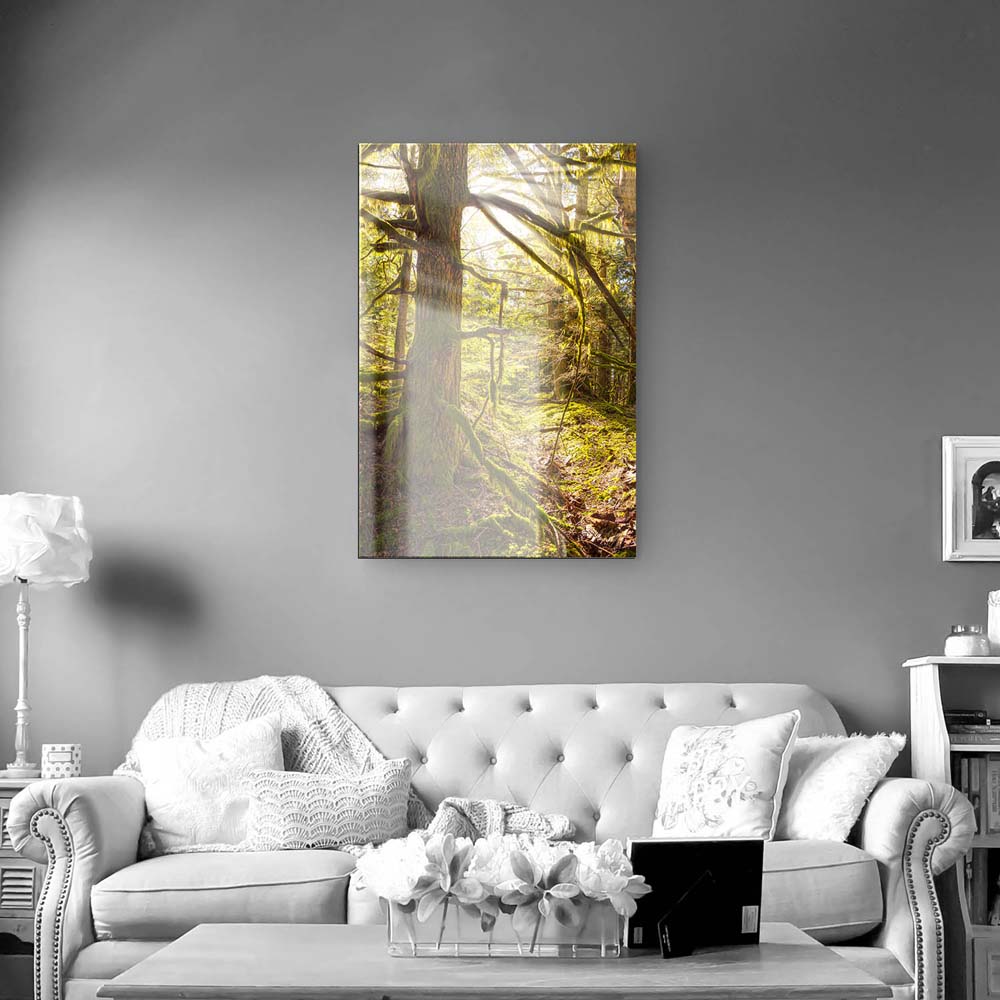 Hochformat Acrylglasverbund Bild, Wald Baum Sonnenhain in 80x120cm größe
