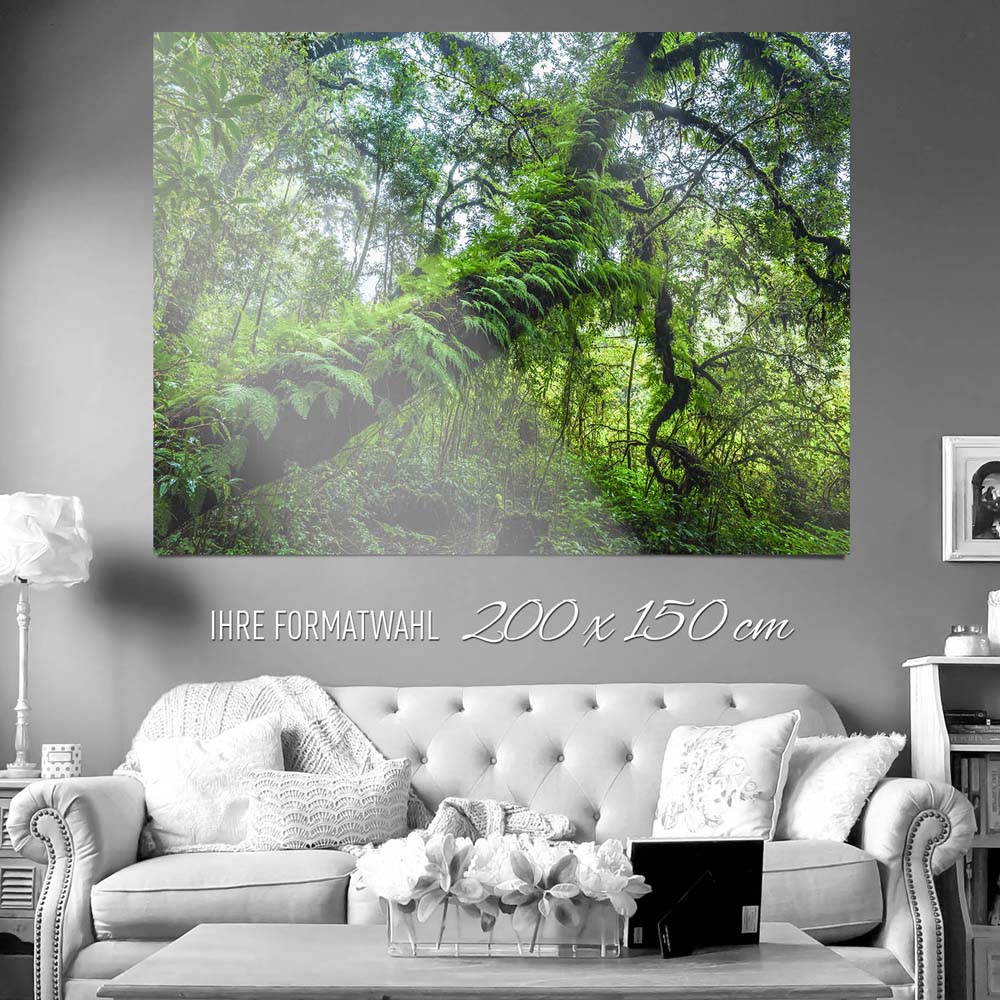 XXL WandPoster Wald & Bäume Farnimpression, 200x150cm