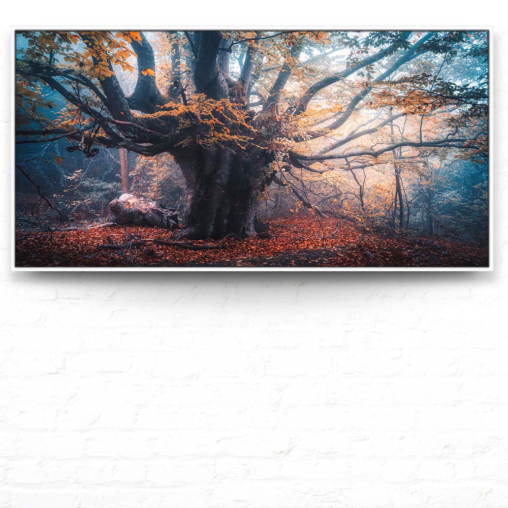 Baum Herbstbuche im weißen Bilderrahmen, 180x90cm