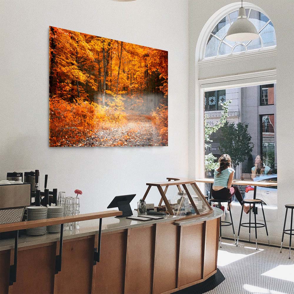 Acrylglasbild 150x50cm groß Wald & Bäume Herbst Wanderung II