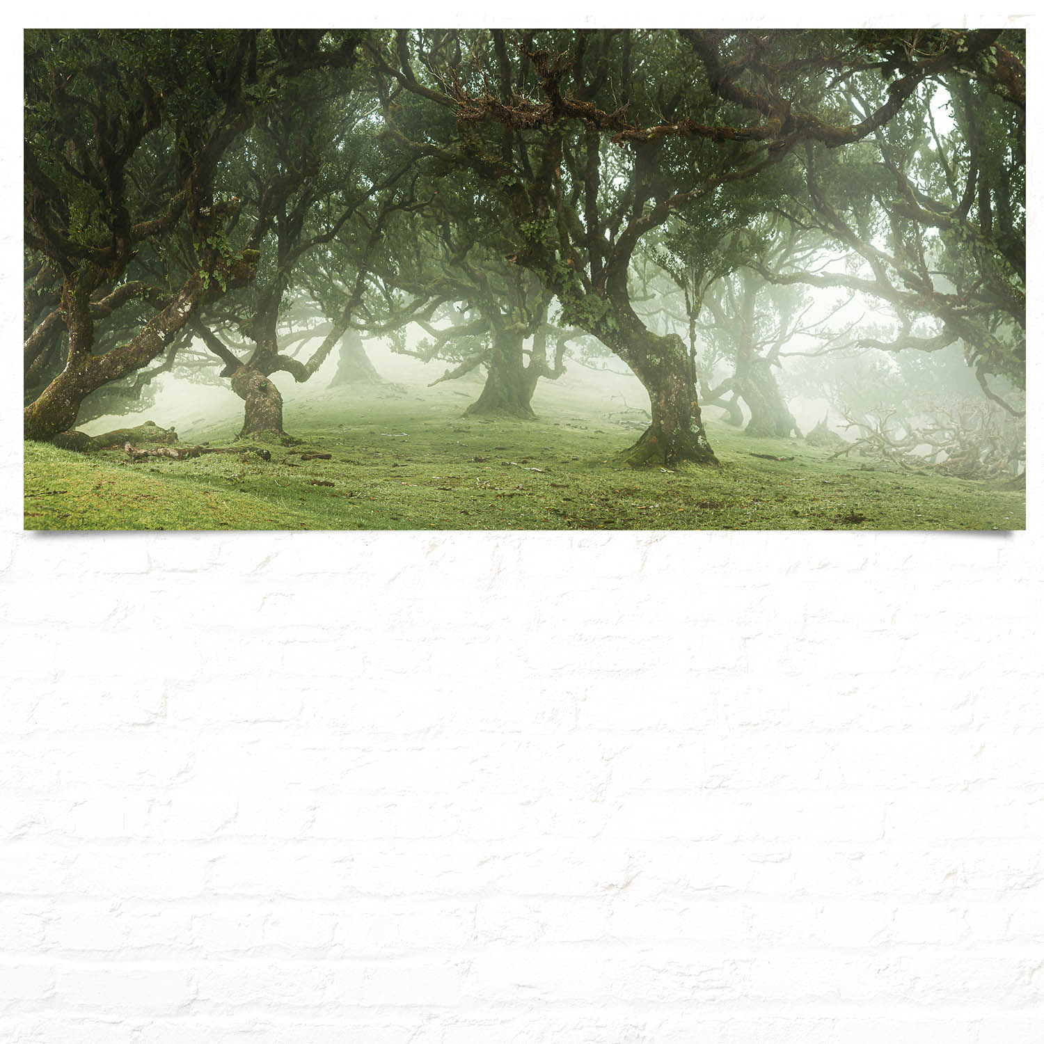 Großformat WandPoster Wald & Bäume Nebel Gestalten, 180x90cm