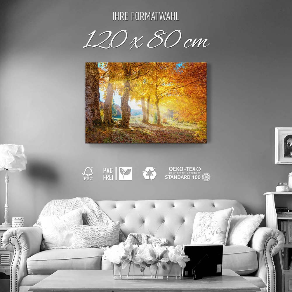 XXL Leinwandbild Querformat Wald & Bäume Herbst Sonne, 120x80cm groß
