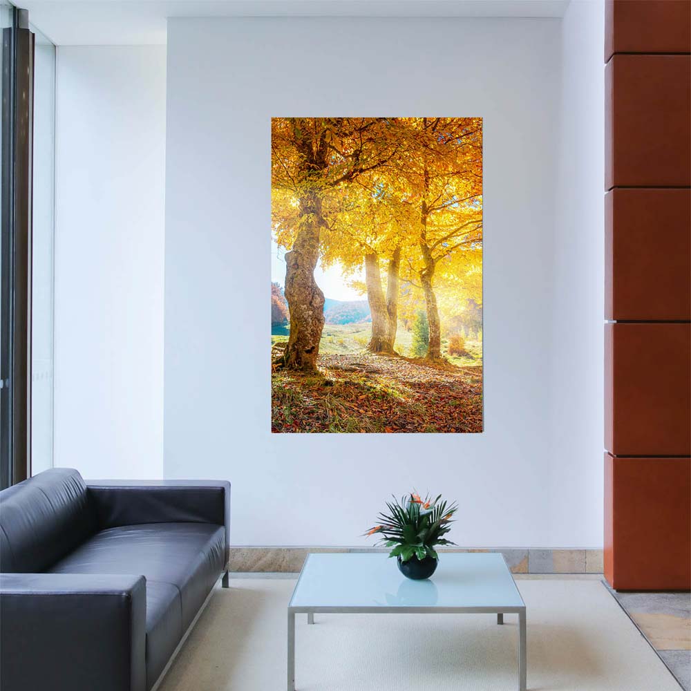 Wald & Bäume Herbst Sonne Poster XXL 100x150cm im Hochformat
