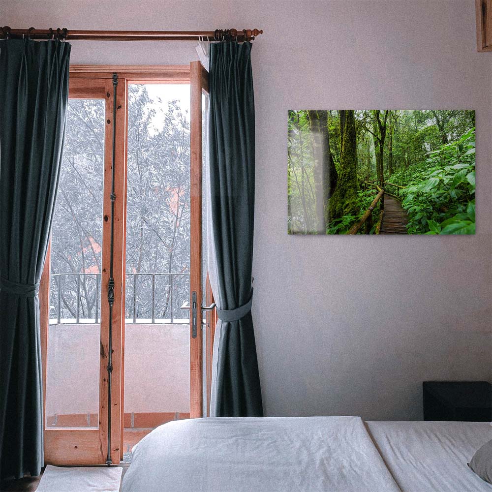 Panorama Acrylglasbild 180x90cm Regenwald Holzpfad