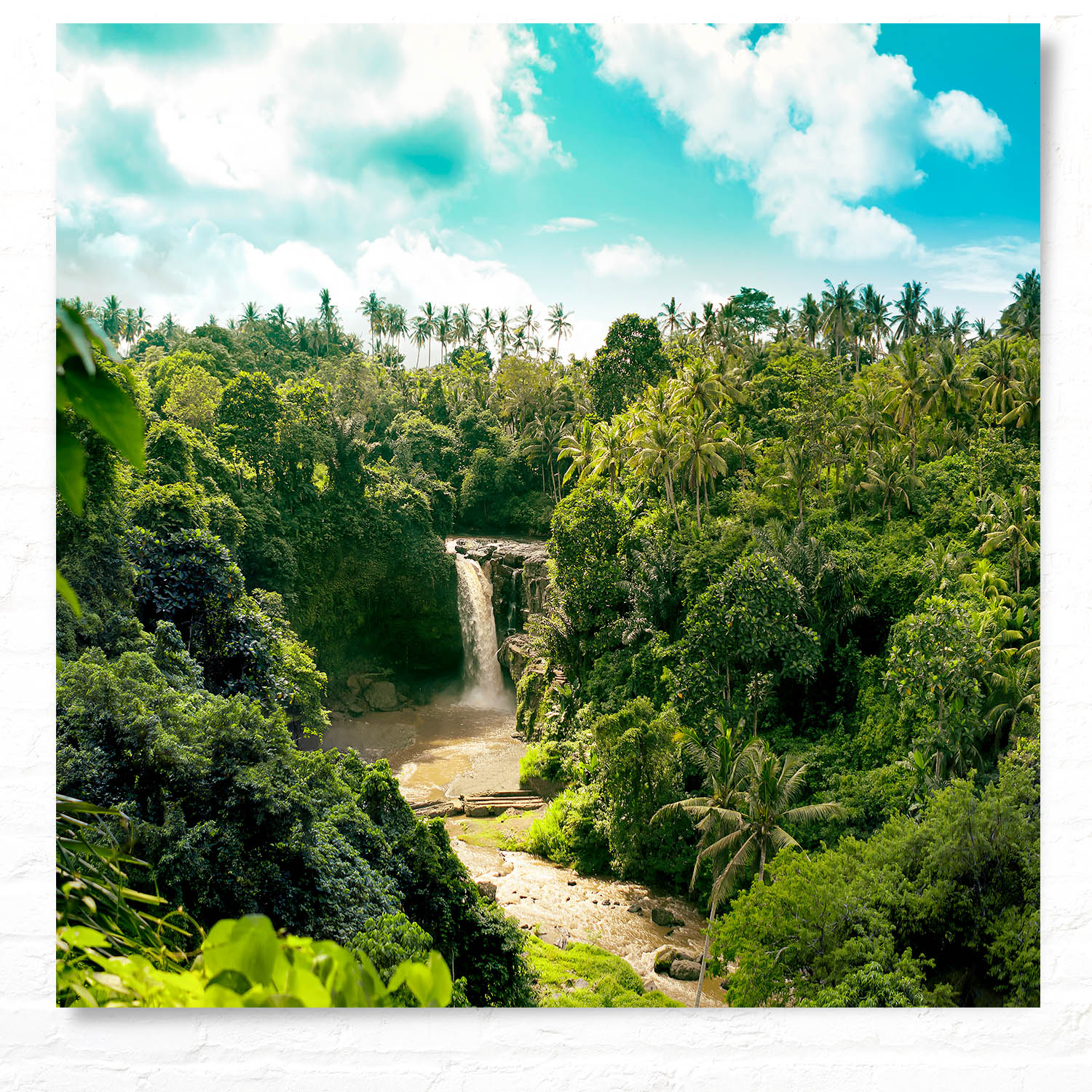 WandPoster Dschungel Wasserfallpanorama, 50x50cm