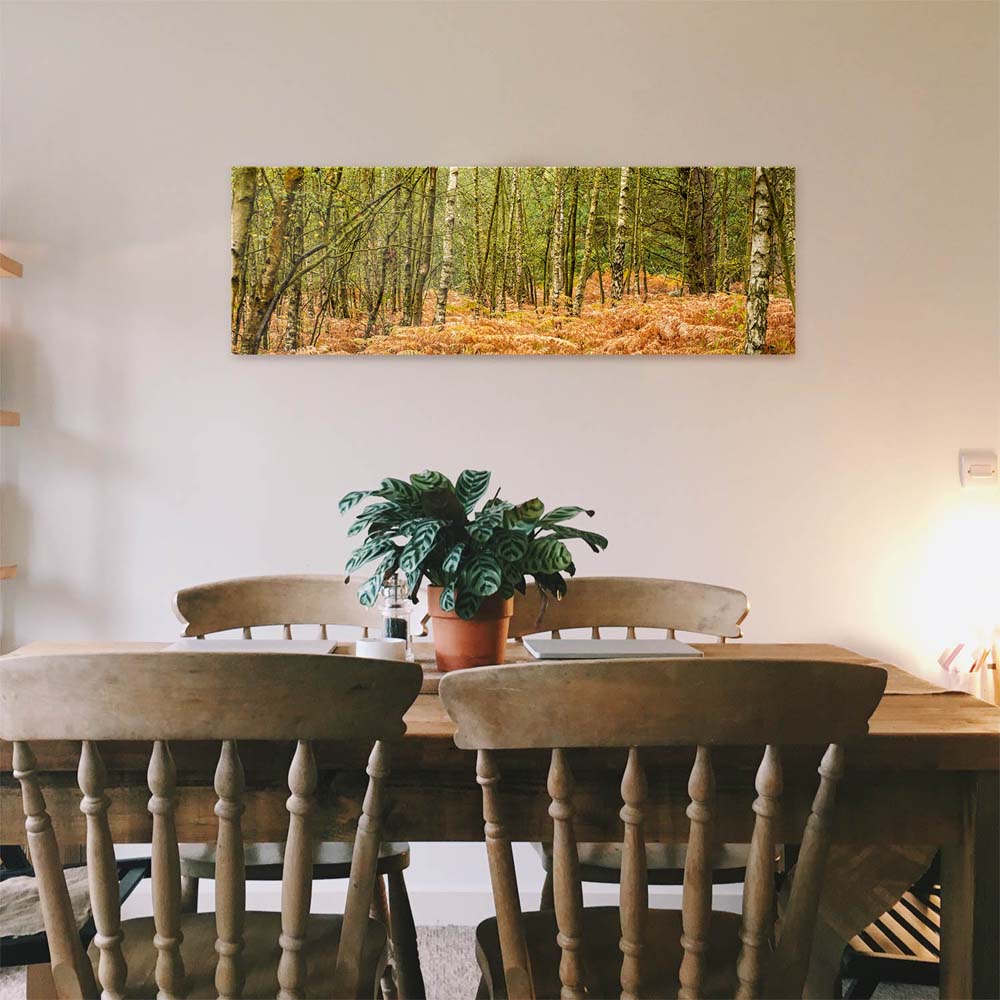Panorama Acrylglasbild 180x90cm Wald & Bäume Farn im Herbst