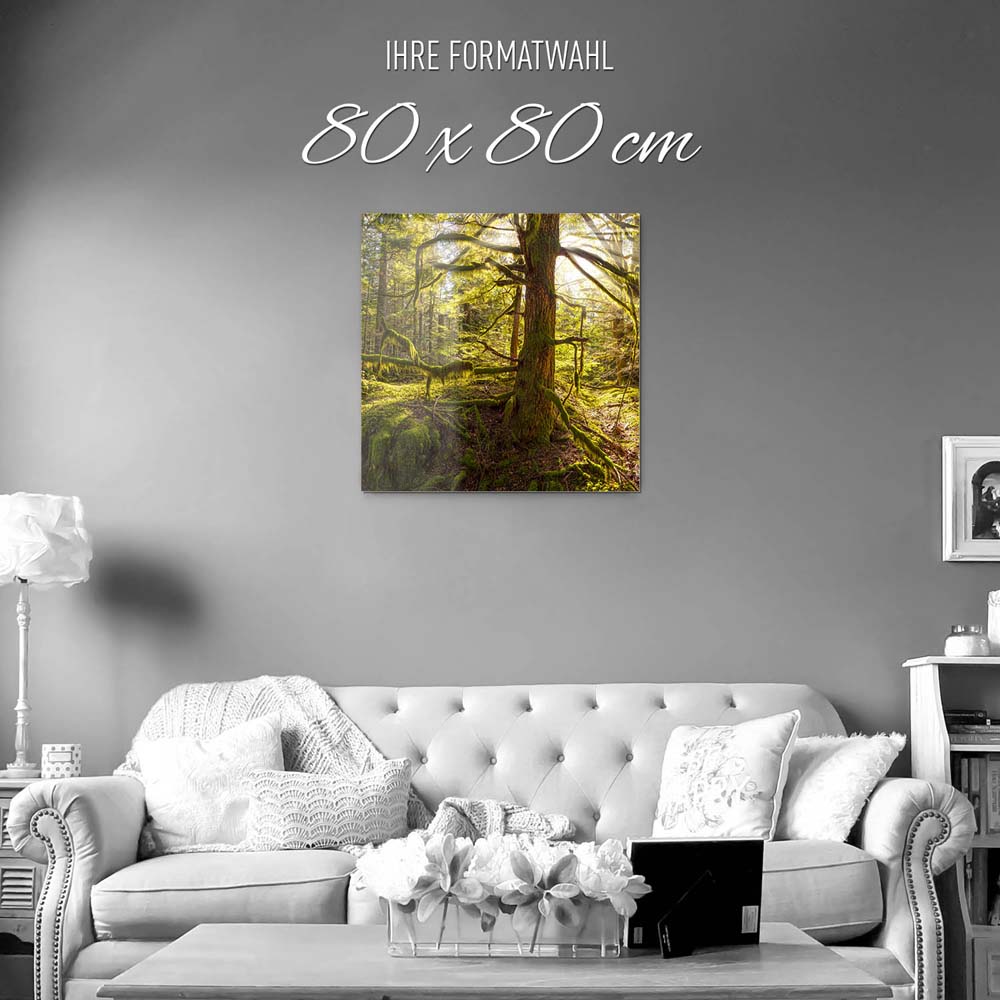 Wald Baum Sonnenhain als Acrylglasverbund Bild 80x80cm