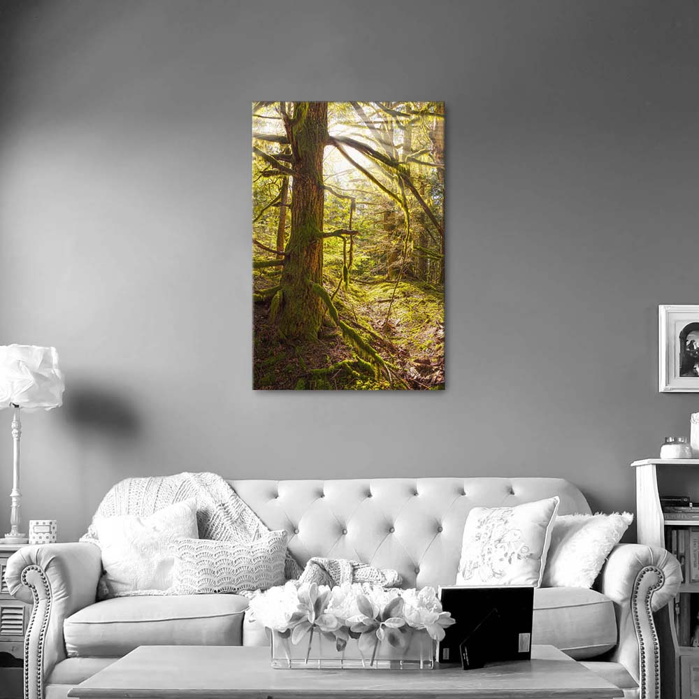 Leinwandbild Hochformat Wald Baum Sonnenhain 80x120cm