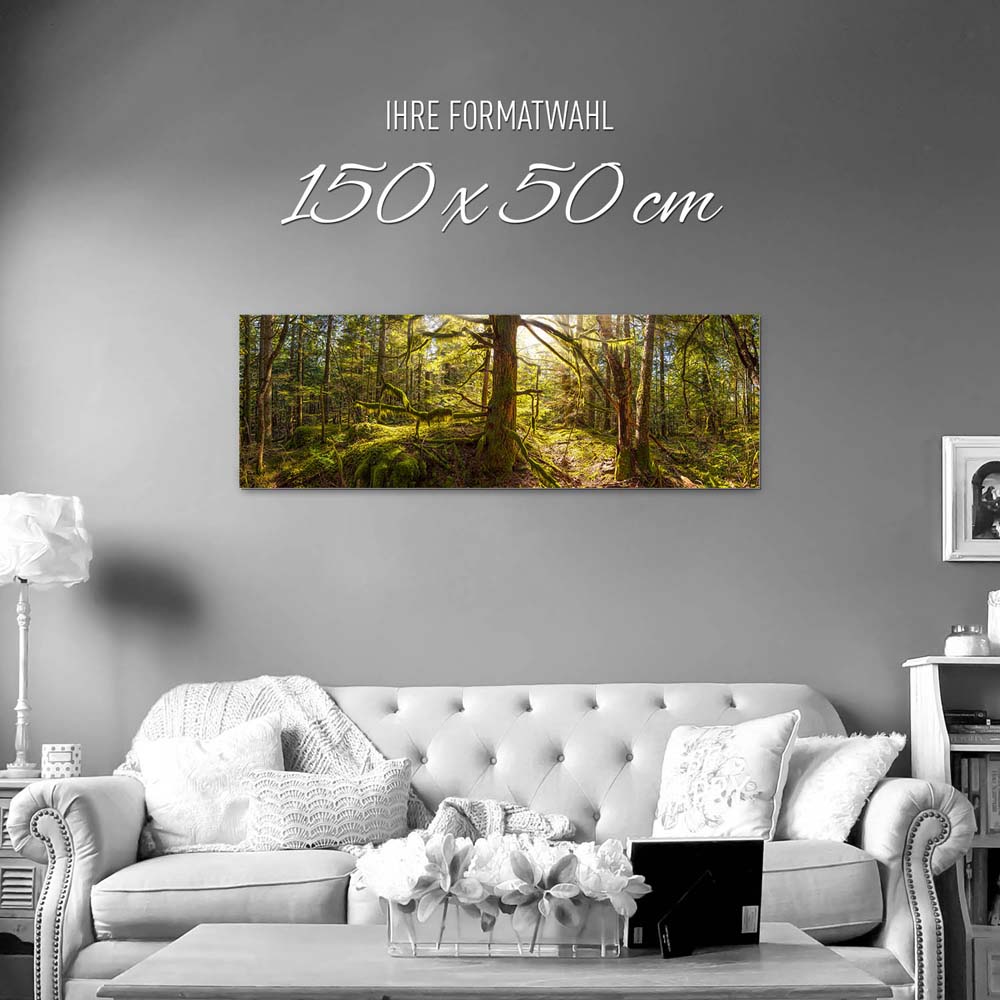 Alu-Dibond Bild 150x50cm groß Wald Baum Sonnenhain